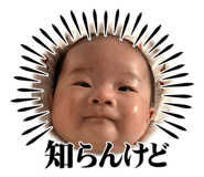 657583156