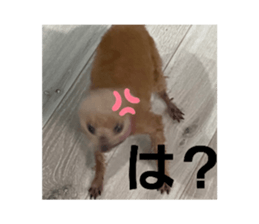 657584515