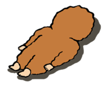 6575956