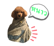 657595900