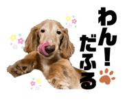 657596745