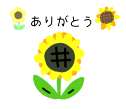 657654305