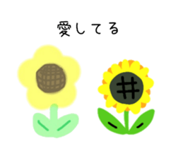 657654316