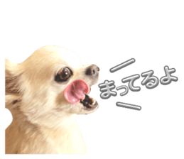 657655879