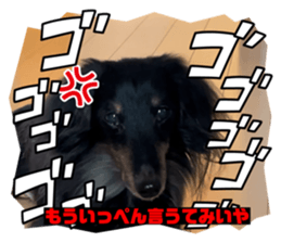 657657167