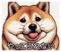 657662480