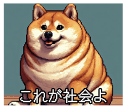 657662489