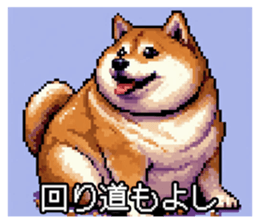 657662493