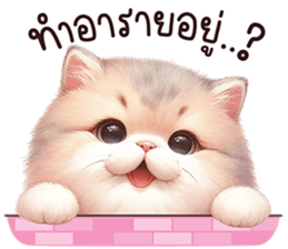 657666374
