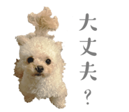 657682598
