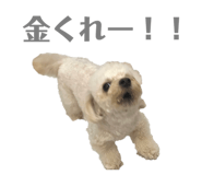 657682604