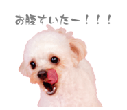 657682616