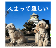 657682620