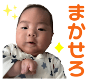 657703110