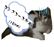 657710386