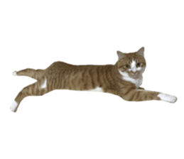 657714344
