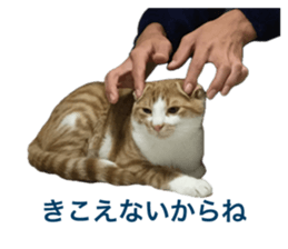 657714345