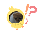 657720926