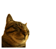 657728694