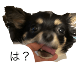 657731491