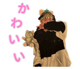 657744190