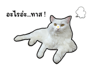657768454