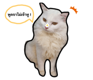 657768456