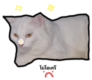 657768460