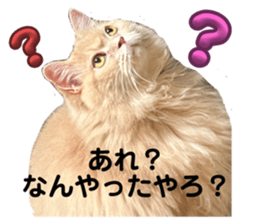 657816182