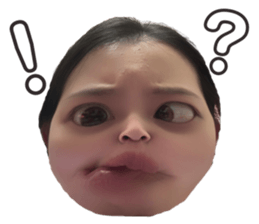657817937