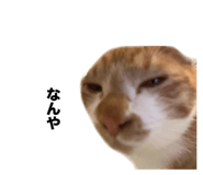 657830744