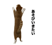 657830745