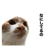 657830746
