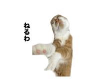 657830747