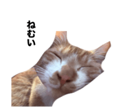 657830748