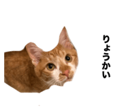 657830749