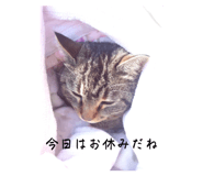 657831250