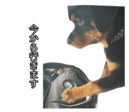 657848785