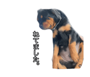 657848786