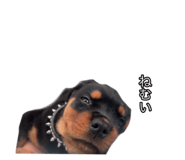 657848788
