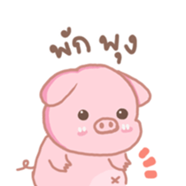 65785736