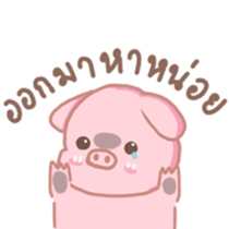 65785743
