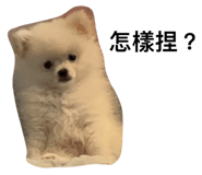 657878518
