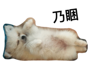 657878519
