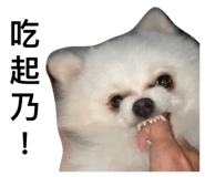 657878520