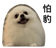 657878523
