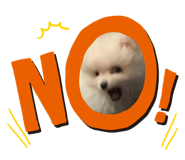 657878533