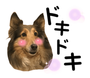657899822