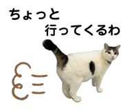 657899832