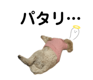 657899837
